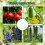 Tomato Hooks with String,Plant Support Clips,Tomato Support Hook for Climbing Plants,Tomato Holder Hooks 5