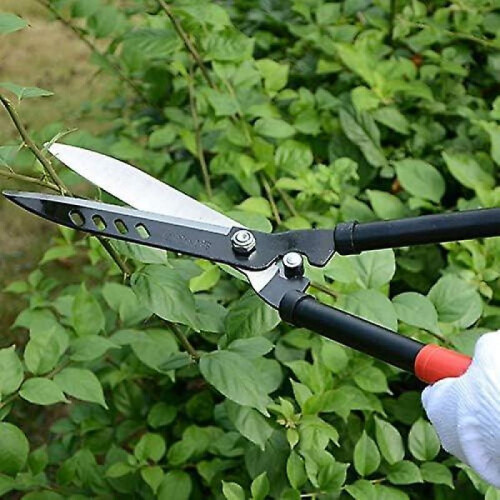 Pruning Shears Non-Slip Handle Pruning Shears Sharp Gardening Scissors Branches Flower Grafting Trees Trimmer Cutter Hand Pruner (Color Sent Randomly) 2