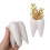 Tooth Shape White Ceramic Flower Pot Modern Design Planter Teeth Model Mini Desktop Pot Gift 20