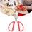 Stainless Steel Scissors Heavy Duty Multipurpose 12
