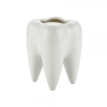 Tooth Shape White Ceramic Flower Pot Modern Design Planter Teeth Model Mini Desktop Pot Gift
