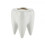 Tooth Shape White Ceramic Flower Pot Modern Design Planter Teeth Model Mini Desktop Pot Gift 1