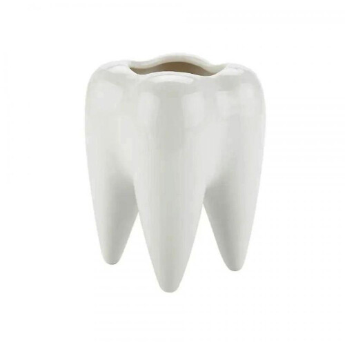 Tooth Shape White Ceramic Flower Pot Modern Design Planter Teeth Model Mini Desktop Pot Gift