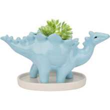 Succulente Céramique Pot, Dinosaure Plante Pot, Cactus Pots de Fleurs avec Soucoupe, Mini Intérieur