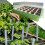 Nursery Box Breathable Water-Saving Plastic Stackable Propagator for Garden Qinhai 5