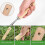 Manual Weed Killer Garden Tool Stainless Steel Weed Killer 3