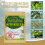 Natural Mite Control Kit - Peppermint & Eucalyptus, Anti-Mite & Anti-Flea for Home, 10pcs 4