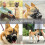 (3) Reflective Anti-Bite Dog Muzzle for Barking Control Pet Safety 2