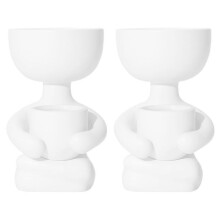 2pcs Planting Pot