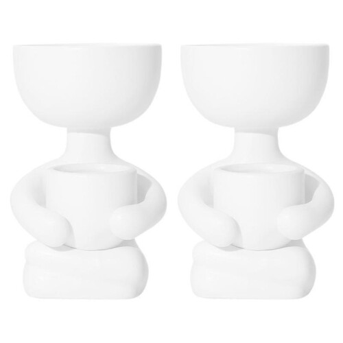 2pcs Planting Pot