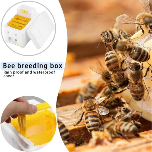 Bee Hive Box Foam Pollination Boxes Multi-Function Beekeeping Kit with Frame Holder and Nest Tool for Beekeepers 2