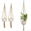 6pcs Plant Hanger 3