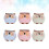 6pcs Fashion Ceramic Flower Pot 5