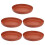 5pcs Succulent Plants Pots Base 1