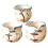 3pcs Ceramic Succulent Flowerpot 1