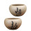 2pcs Scculent Flower Pot 3