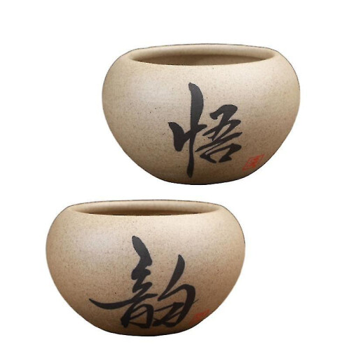 2pcs Scculent Flower Pot 2