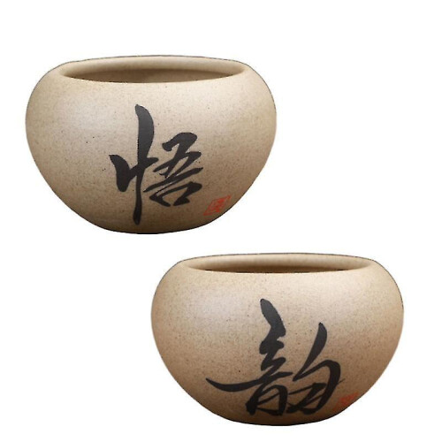 2pcs Scculent Flower Pot 1