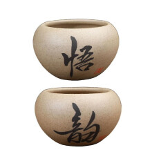 2pcs Scculent Flower Pot