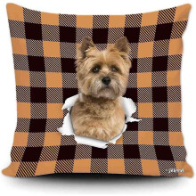 Oranje en zwarte buffel ruit kussensloop met mijn lieve hond Cairn Terrier woondecoratie kussen
