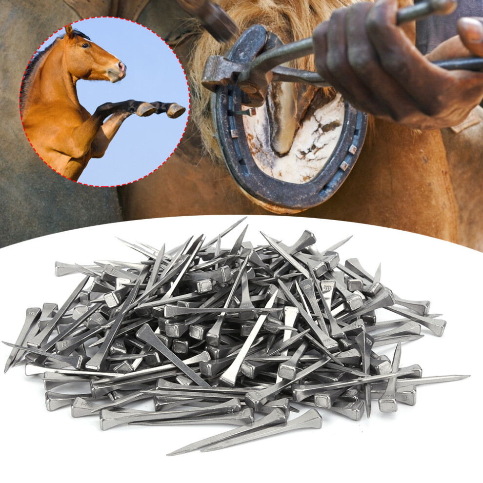 250Pcs Steel Horseshoe Nails 5.1Cm Horse Shoe Accessories 7891346224860