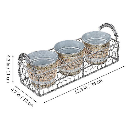 The New 1pcs Special Flower Pot 1