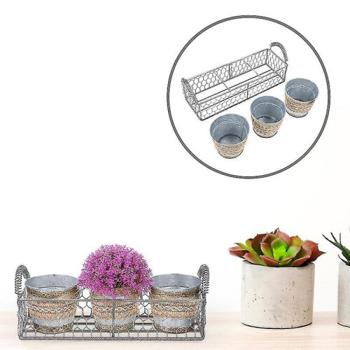 The New 1pcs Special Flower Pot 2