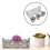 The New 1pcs Special Flower Pot 5