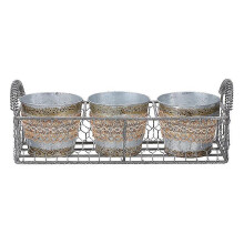 The New 1pcs Special Flower Pot