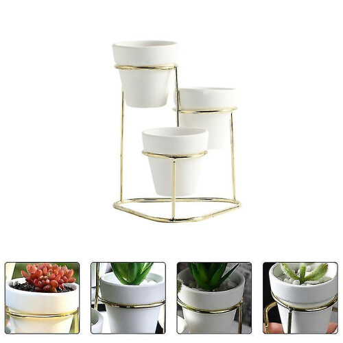 1pcs Mini Cactus Pots 2