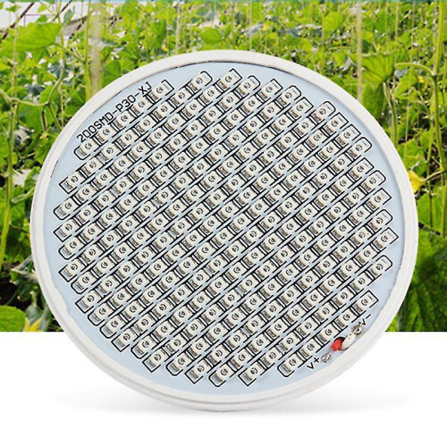 1pcs Led Lamp for Gardening 2