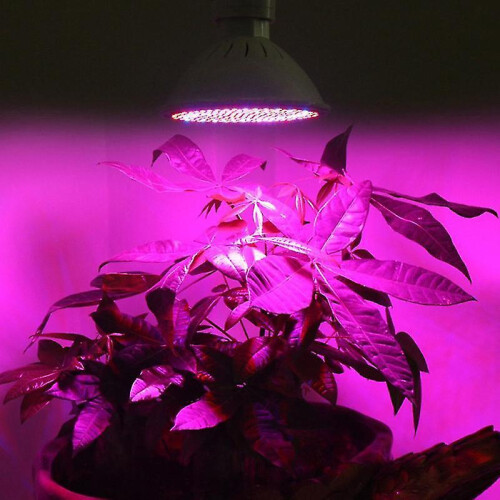 1pcs Led Lamp for Gardening 1
