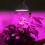 1pcs Led Lamp for Gardening 14