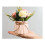 1pcs False Plants 10