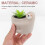 The New 1pcs Cartoon Sloth Plant Pot 4