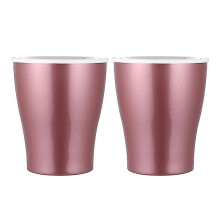 The New 2pcs Self Watering Flowerpot