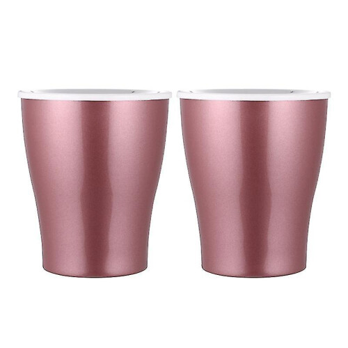 The New 2pcs Self Watering Flowerpot