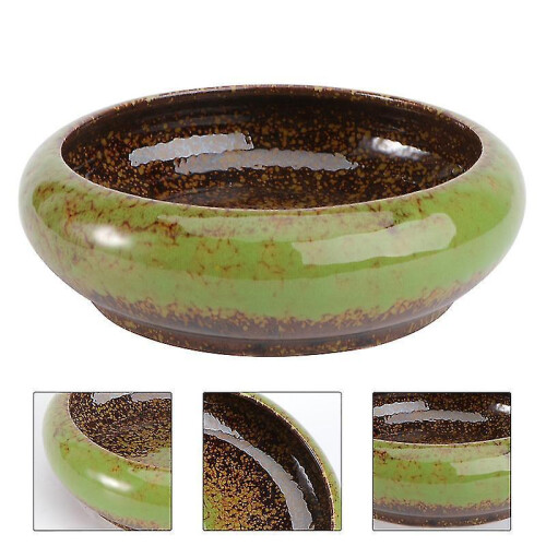 The New 1pcs Special Succulent Pot 2