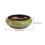 The New 1pcs Special Succulent Pot 4