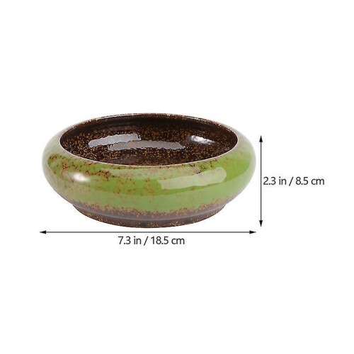 The New 1pcs Special Succulent Pot 1