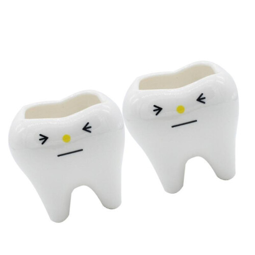 2pcs Tooth Flower Pot 2