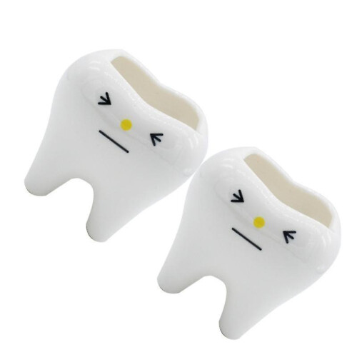 2pcs Tooth Flower Pot 1