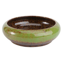 The New 1pcs Special Succulent Pot