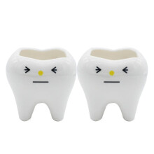 2pcs Tooth Flower Pot