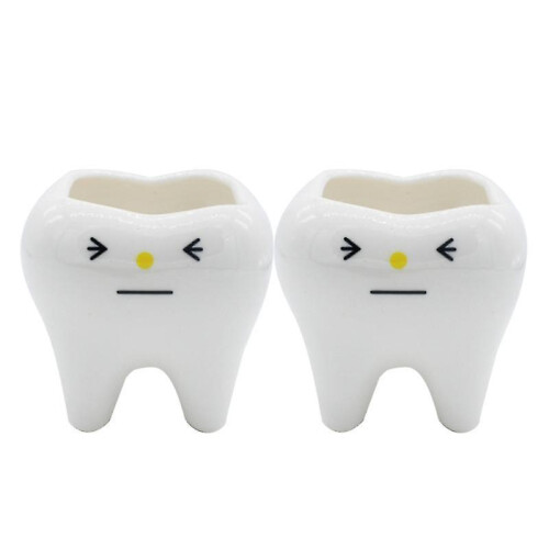 2pcs Tooth Flower Pot