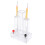 PEM Water Electrolysis Demonstrator Hydrogen 7