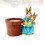 1pcs Resin Rabbit Ornament 2
