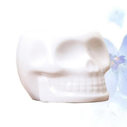 The New 1pcs Small Plant Pots 1