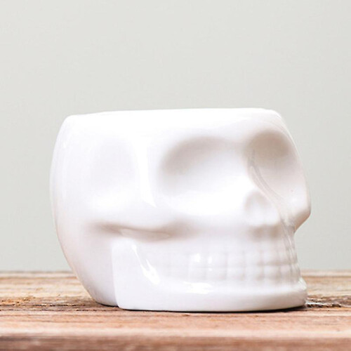 The New 1pcs Small Plant Pots 2