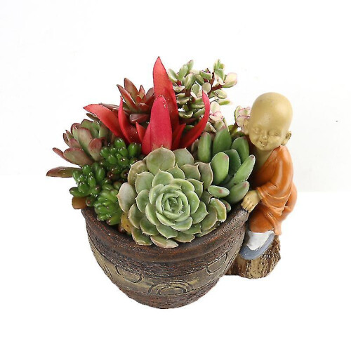 1pcs Mini Plant Pots 2